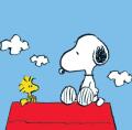 Celebrity-Image-Peanuts-Snoopy---Woodstock-15840.jpg